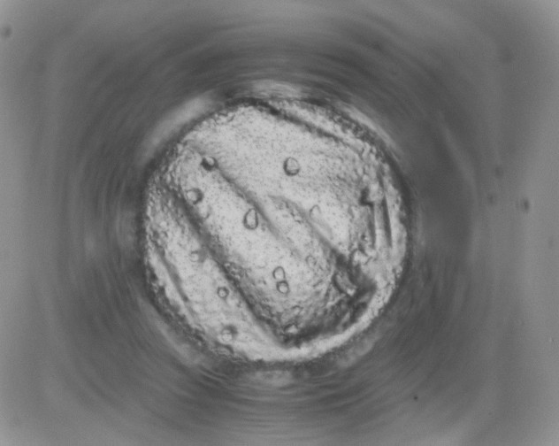 X0000081490353200701262059