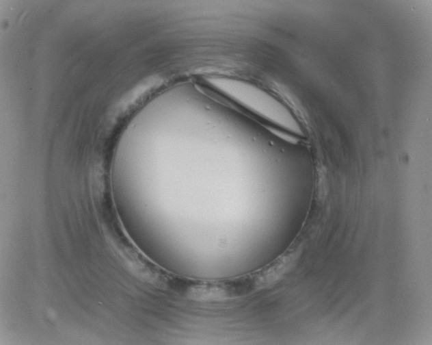 X0000081490354200701262059