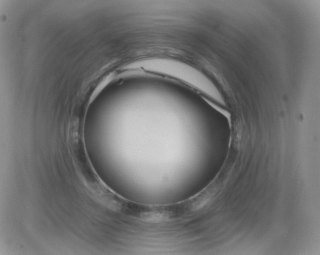 X0000081490356200701262059