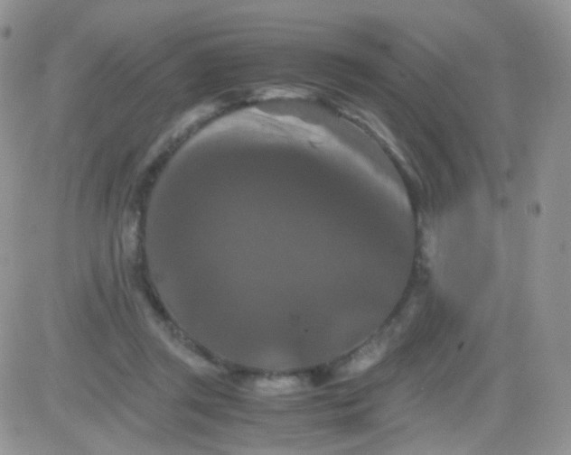 X0000081490357200701262059