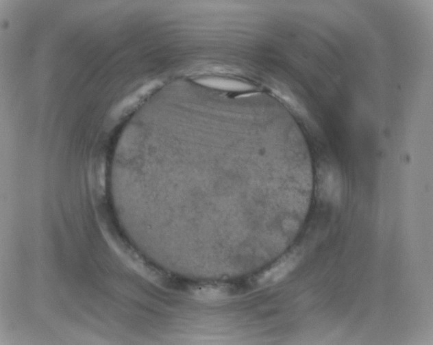 X0000081490358200701262059