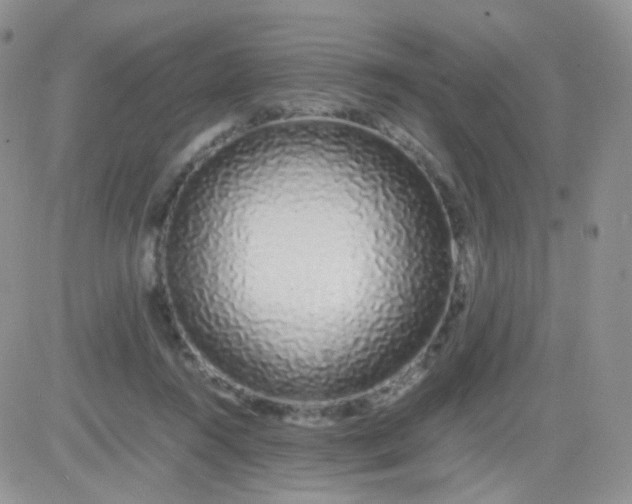 X0000081490360200701262059