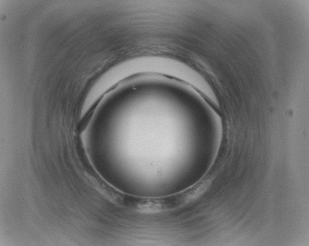 X0000081490362200701262059