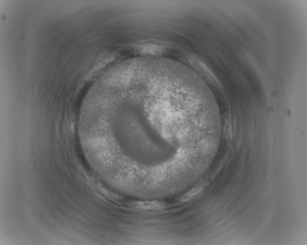 X0000081490363200701262059