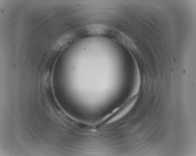 X0000081490364200701262059