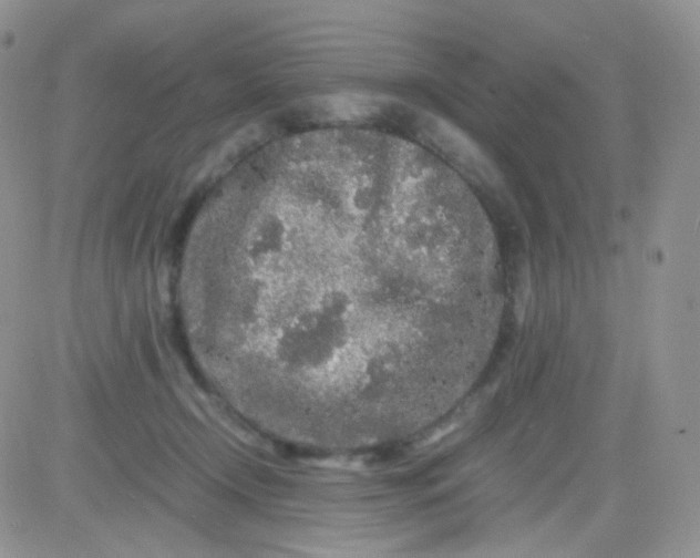 X0000081490366200701262059