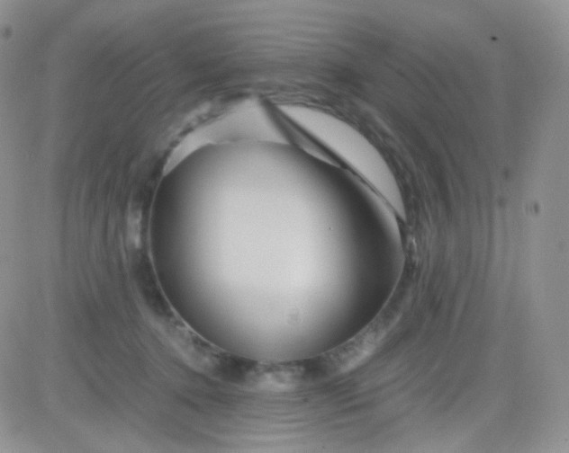 X0000081490368200701262100