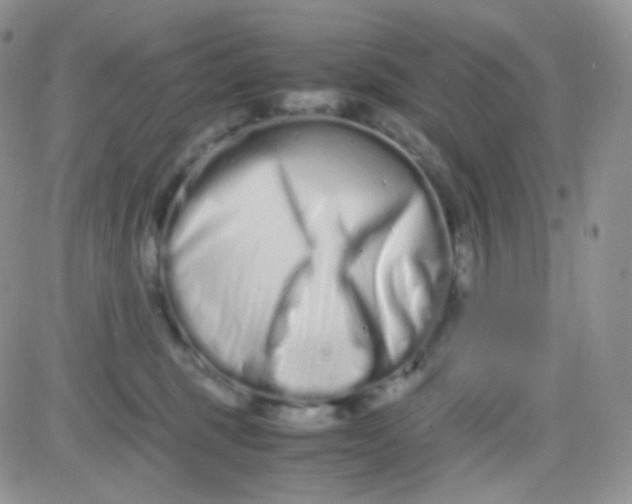 X0000081490375200701262100