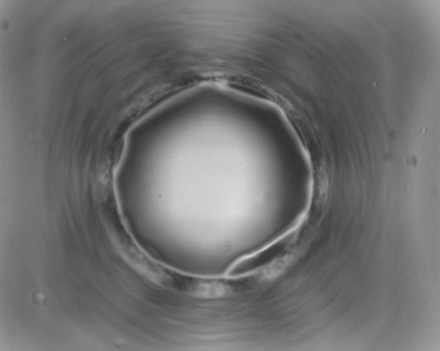 X0000081490376200701262100