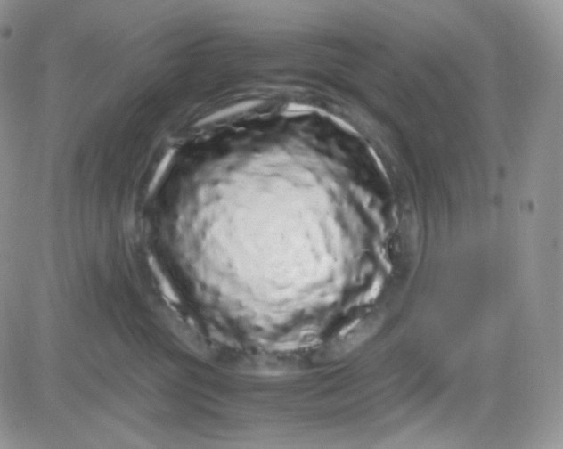 X0000081490381200701262100