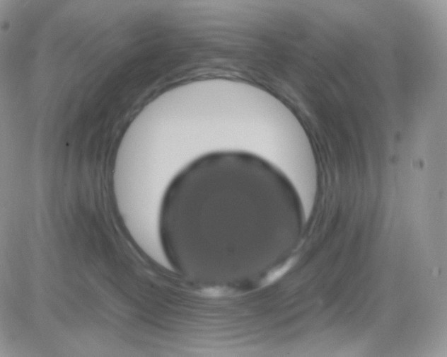 X0000081490382200701262100