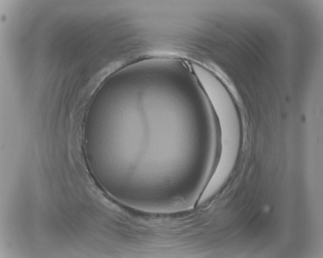 X0000081490385200701262059