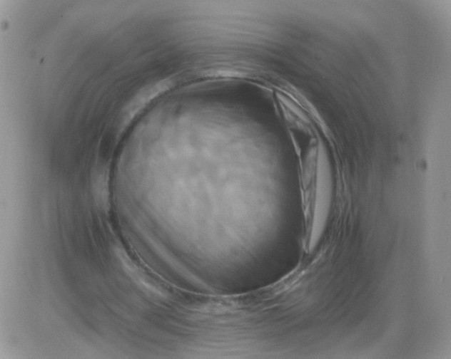 X0000081490386200701262059