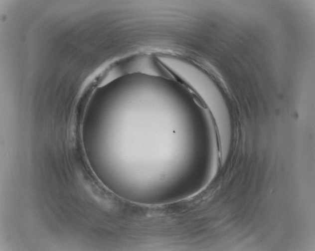 X0000081490388200701262059