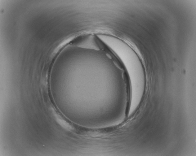 X0000081490389200701262059