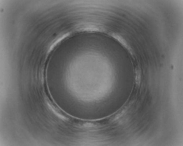 X0000081490390200701262059