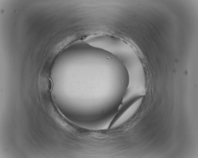 X0000081490393200701262059