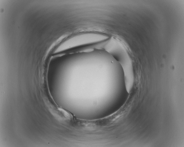 X0000081490395200701262059