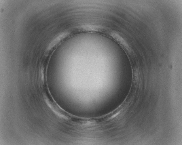 X0000081490398200701262059