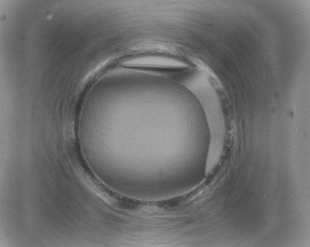 X0000081490399200701262059