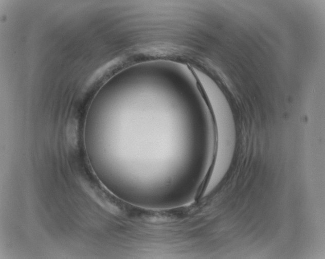 X0000081490400200701262059