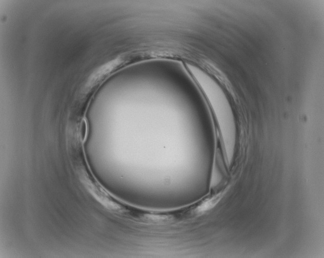 X0000081490401200701262059