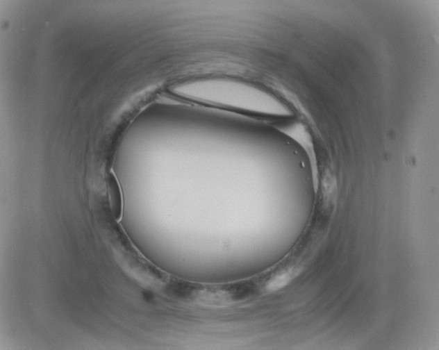 X0000081490403200701262059