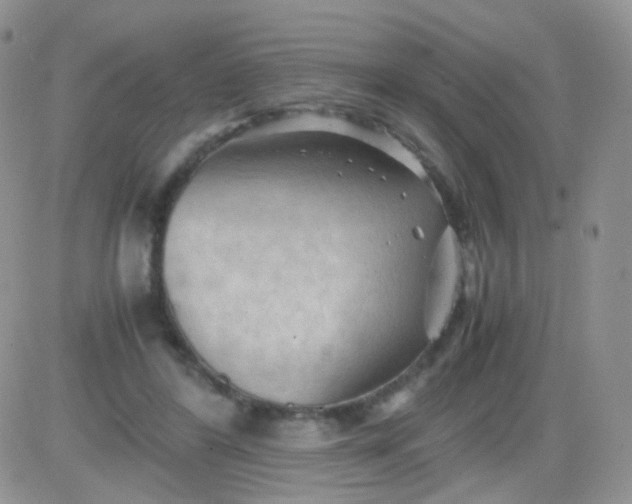 X0000081490404200701262059