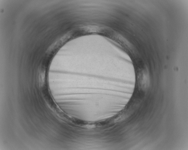 X0000081490406200701262059