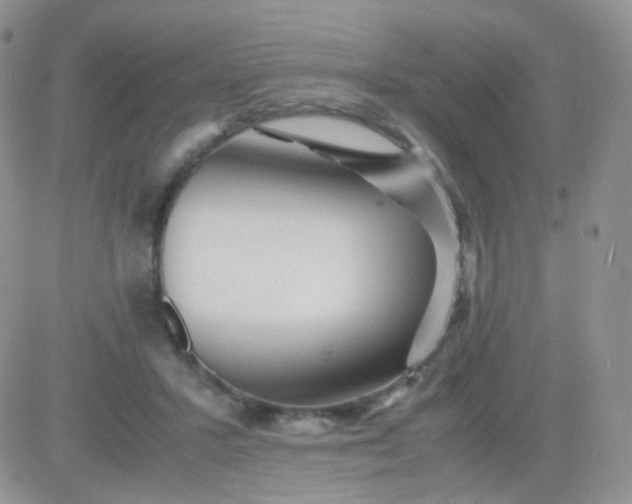 X0000081490407200701262059