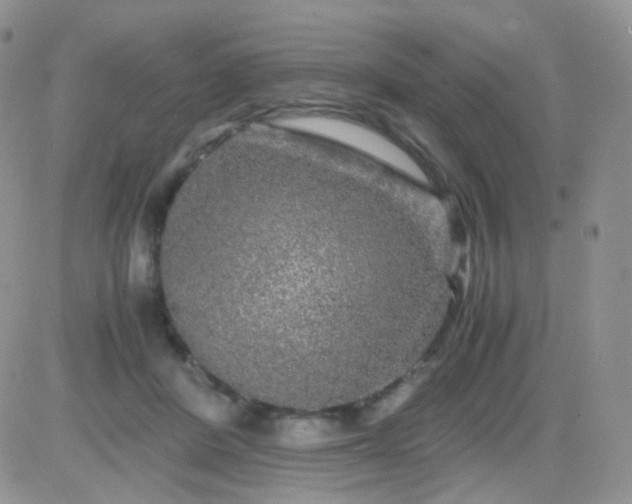 X0000081490408200701262059