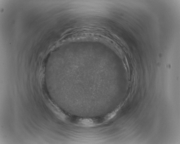 X0000081490409200701262059