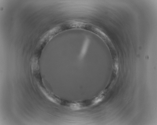 X0000081490411200701262059