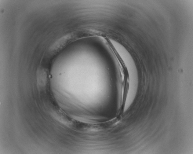 X0000081490412200701262059