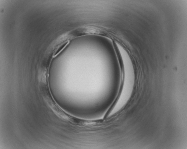 X0000081490413200701262059