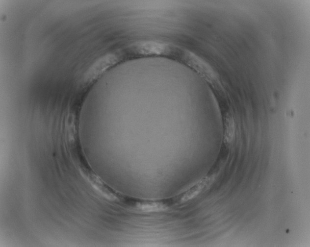 X0000081490414200701262059