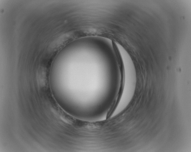 X0000081490416200701262058