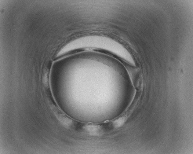 X0000081490417200701262058