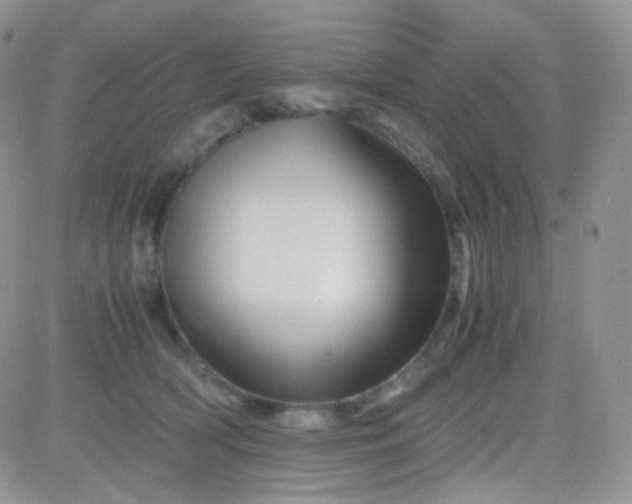 X0000081490418200701262058