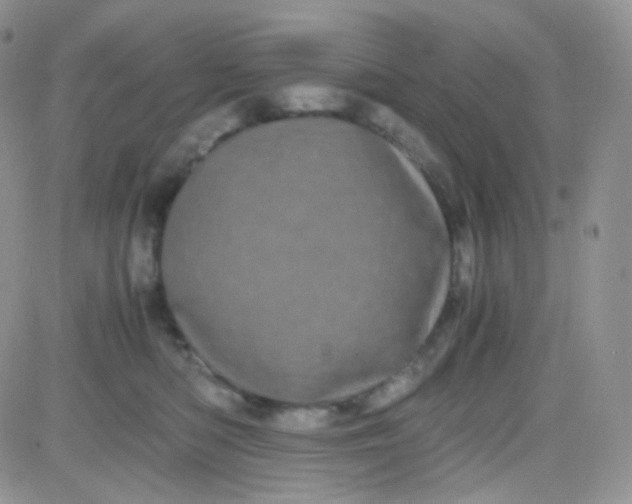 X0000081490422200701262058