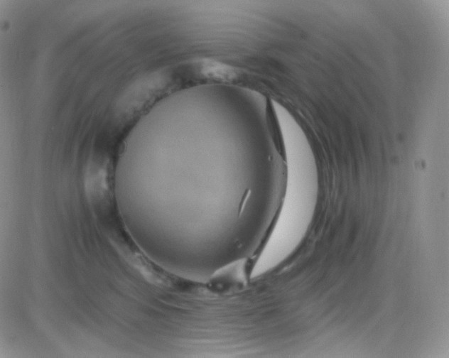 X0000081490424200701262058