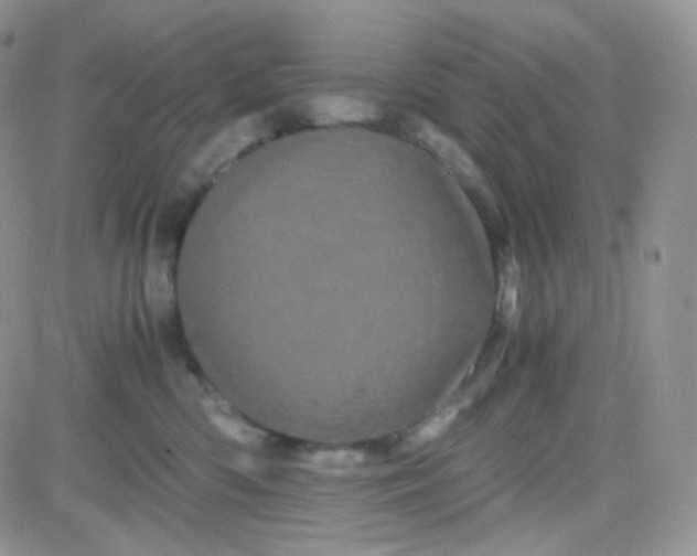 X0000081490426200701262058