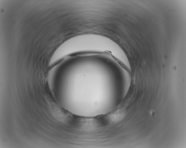 X0000081490428200701262058