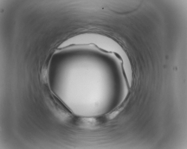 X0000081490429200701262058