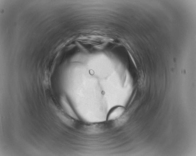 X0000081490430200701262058