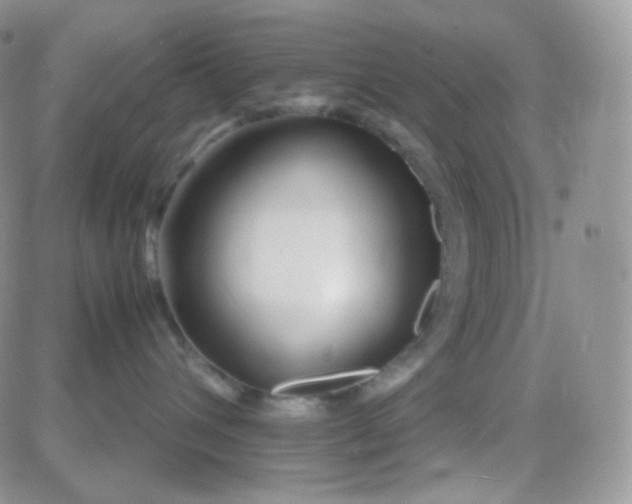 X0000081490432200701262058