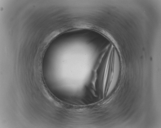 X0000081490433200701262057