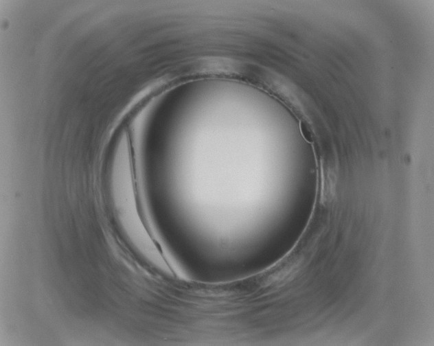 X0000081490435200701262057