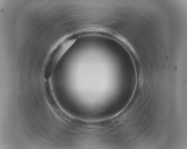 X0000081490436200701262057