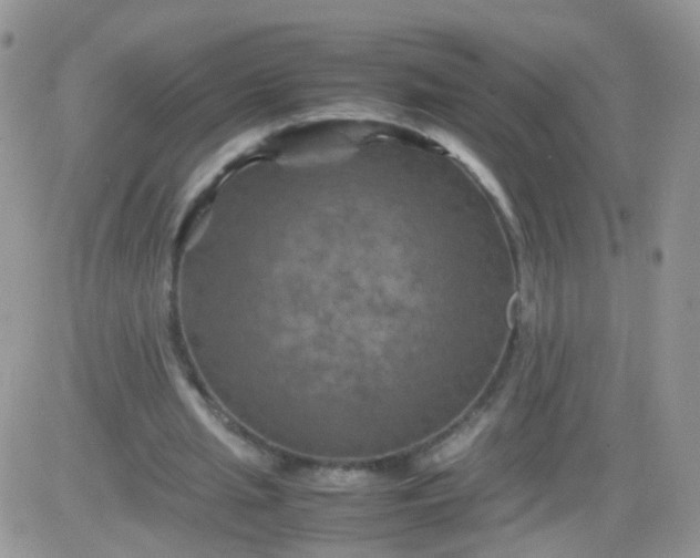 X0000081490437200701262058